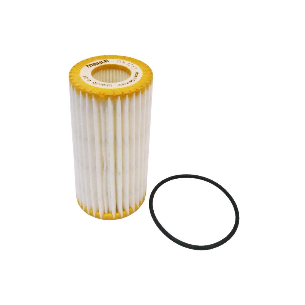 AUDI A4, A5 OIL FILTER MAHLE HU-6013Z